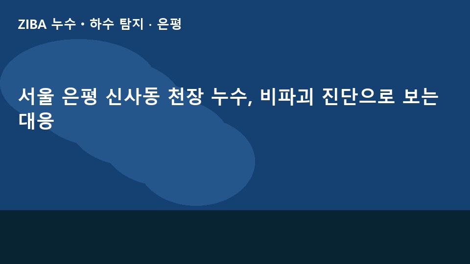 서울 은평 신사동 천장 누수, 비파괴 진단으로 보는 대응