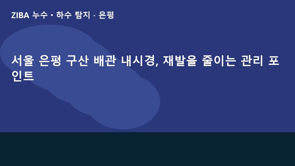 서울 은평 구산 배관 내시경, 재발을 줄이는 관리 포인트