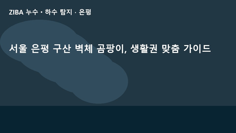서울 은평 구산 벽체 곰팡이, 생활권 맞춤 가이드