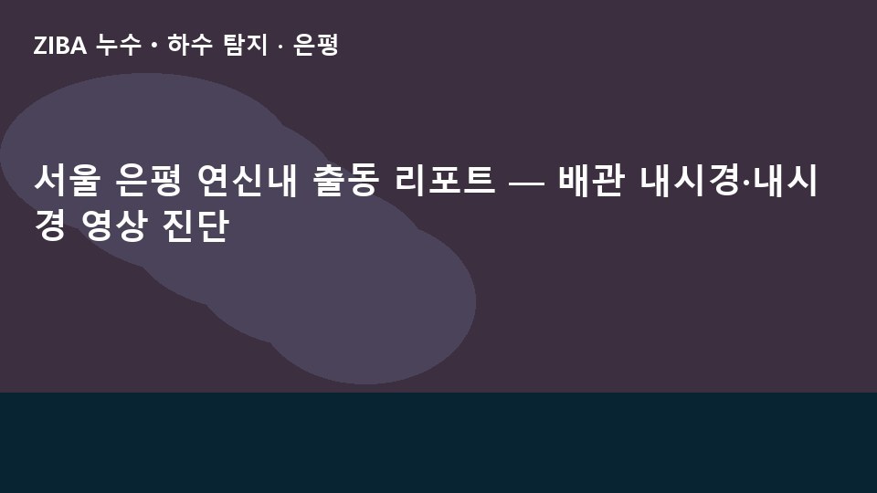 서울 은평 연신내 출동 리포트 — 배관 내시경·내시경 영상 진단