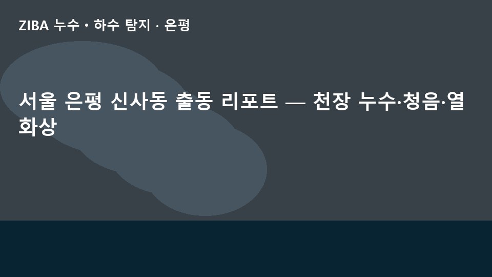 서울 은평 신사동 출동 리포트 — 천장 누수·청음·열화상