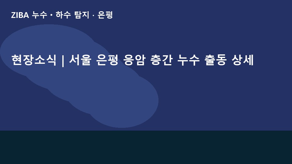 현장소식 | 서울 은평 응암 층간 누수 출동 상세