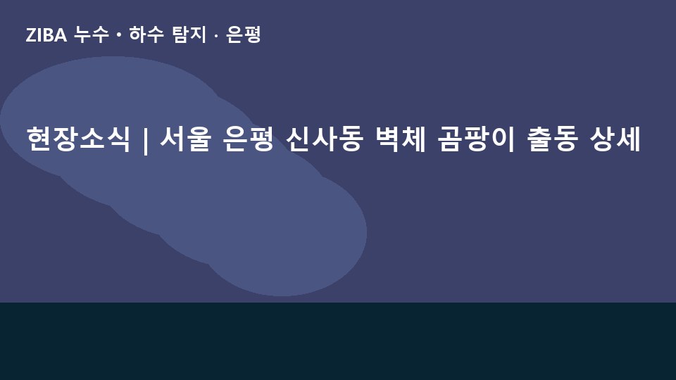 현장소식 | 서울 은평 신사동 벽체 곰팡이 출동 상세
